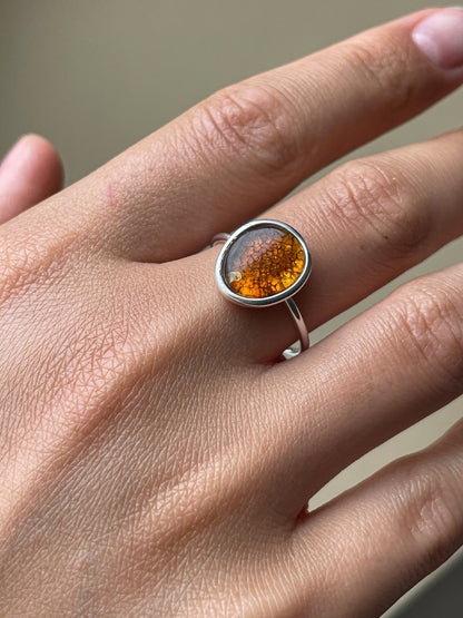 Cognac amber ring- Sterling silver - Thin ring collection 