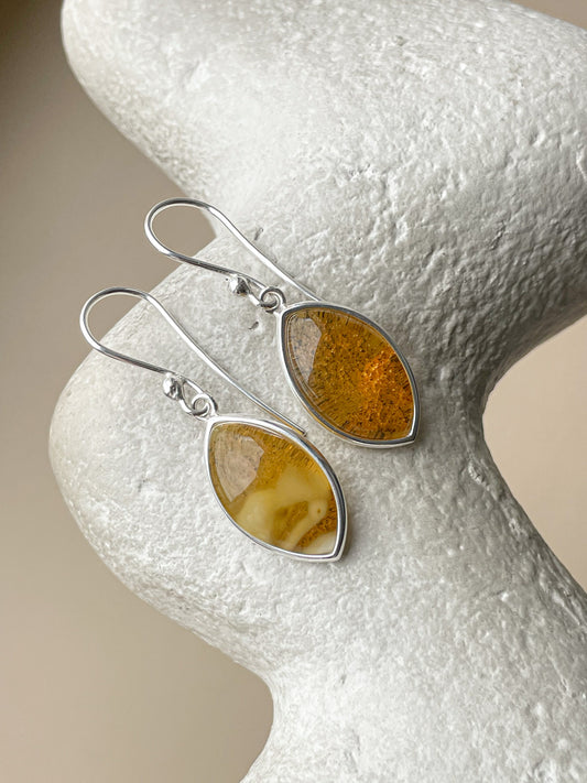 Cognac amber dangle earrings - Sterling silver - Hook earrings collections