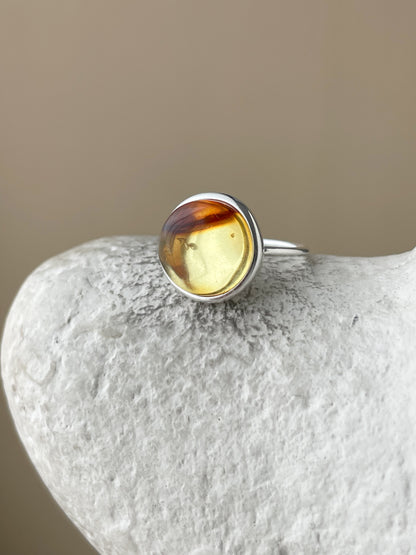 Honey amber ring - Sterling silver - Thin style collection - Size 4 3/4