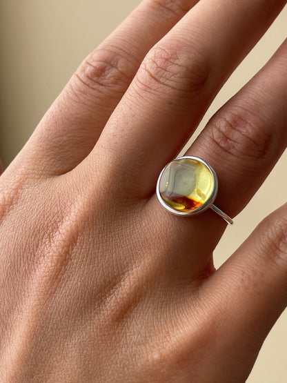 Honey amber ring - Sterling silver - Thin style collection - Size 4 3/4