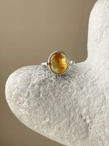 Honey amber ring - Sterling silver - Vintage style collection - Size 7 1/4